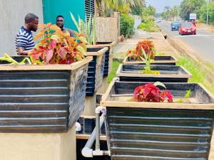 Wastewater Treatment